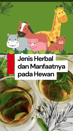 Video: Kupas Tuntas Pengobatan Herbal pada Hewan
