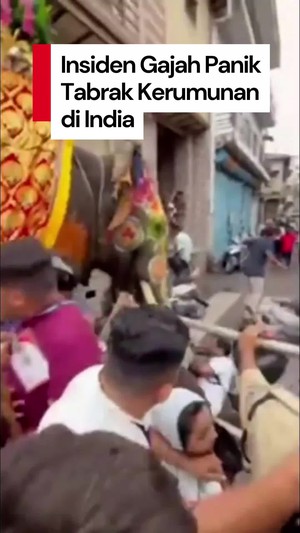  Video: Detik-detik Sekelompok Gajah Panik & Tabrak Kerumunan Warga di India