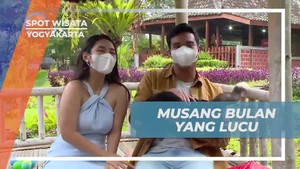 Mengunjungi Musang Bulan yang Lucu dan Menghibur di Yogyakarta  