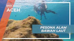 Menikmati Pesona Alam Bawah Laut Pulau Rubiah saat Perayaan Kemerdekaan di Aceh  