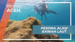 Menikmati Pesona Alam Bawah Laut Pulau Rubiah saat Perayaan Kemerdekaan di Aceh  