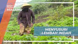 Menjelajahi Keindahan Lembah Indah Malang dan Memetik Buah Segar di Kebun  