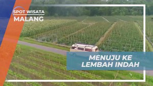 Melanjutkan Liburan di Lembah Indah Malang dan Memberi Makan Sapi  