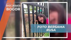 Memberi Makan Rusa dan Menikmati Liburan di Rancamaya, Bogor  