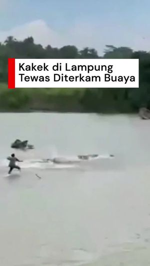 Video: Momen Warga Berbondong-bondong Kejar Buaya Penerkam Kakek di Lampung