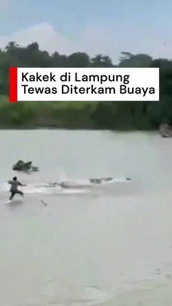 Video: Momen Warga Berbondong-bondong Kejar Buaya Penerkam Kakek di Lampung