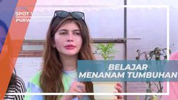 Belajar Menanam Tumbuhan dan Bertani Bersama Ahli di Urban Farming, Purwakarta  