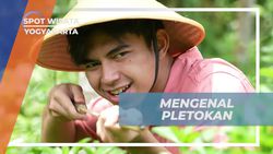 Mengenal Mainan Tradisional Pletokan di Yogyakarta yang Mengasyikkan  