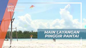 Main Layangan di Pantai Belitung yang Seru dan Mengasyikkan Bersama Selebriti  