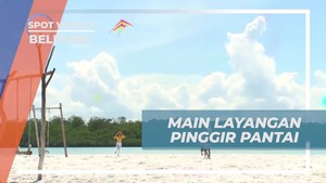 Main Layangan di Pantai Belitung yang Seru dan Mengasyikkan Bersama Selebriti  