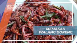 Mengolah Belalang Menjadi Walang Goreng Khas Gunung Kidul di Yogyakarta  