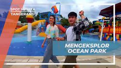 Eksplorasi Ocean Park BSD Tangerang dengan Wahana Flying Fox yang Mendebarkan  