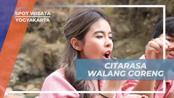 Menikmati Rasa Gurih dan Garingnya Walang Goreng di Kali Opak, Yogyakarta  