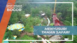Menjelajahi Keindahan Taman Safari di Bogor 