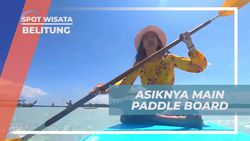 Asyiknya Menelusuri Keindahan Pulau Pasir dengan Paddle Board di Pagi Hari  