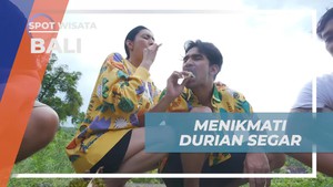 Menikmati Lezatnya Durian Segar dari Pohonnya di Bali bersama Selebriti  