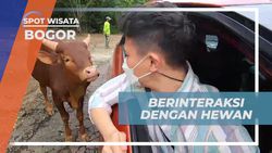 Berinteraksi dan Menikmati Safari Journey Bersama Satwa di Bogor  