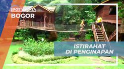 Menginap di Penginapan Nyaman dan Sejuk di Taman Safari, Bogor 