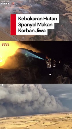 Video: Kebakaran Hutan Saat Gelombang Panas di Spanyol Tewaskan 2 Orang