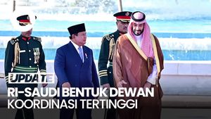 Video: Prabowo-Pangeran MBS Sepakat Bentuk Dewan Koordinasi Tertinggi
