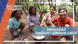 Memasak Undur-Undur Laut Jadi Kuliner Lezat di Pantai Parangtritis, Yogyakarta