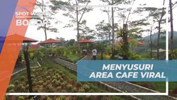 Menyusuri Keindahan Area Cafe Viral di Bogor 