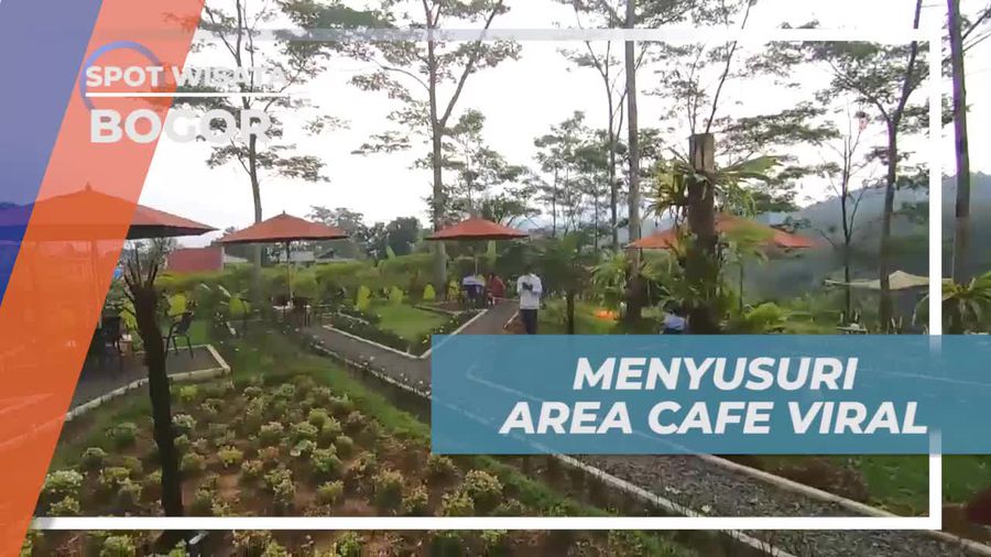 Menyusuri Keindahan Area Cafe Viral di Bogor 