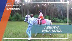 Asyiknya Berkuda di Jungle Milk, Bandung  