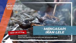 Mengasapi Ikan Lele Bersama Warga di Desa Tembi, Yogyakarta  