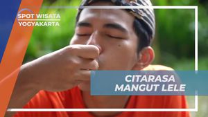 Menikmati Citarasa Mangut Lele di Desa Tembi, Yogyakarta  