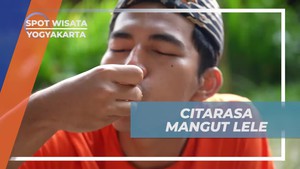 Menikmati Citarasa Mangut Lele di Desa Tembi, Yogyakarta  