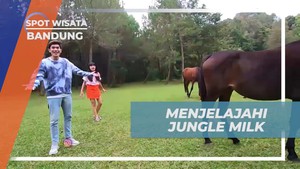 Menjelajahi Jungle Milk, Tempat Berkemah di Bandung  