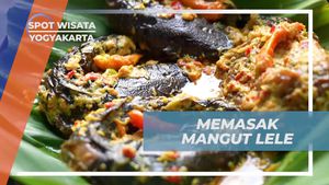 Memasak Mangut Lele, Kuliner Khas Desa Tembi, Yogyakarta  