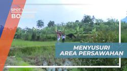 Menyusuri Area Persawahan di Sentul, Bogor  