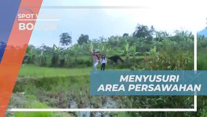 Menyusuri Area Persawahan di Sentul, Bogor  