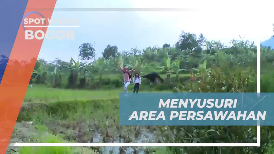 Menyusuri Area Persawahan di Sentul, Bogor  
