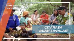 Menikmati Buah Siwalan dan Airnya di Pantai Parangtritis, Yogyakarta  