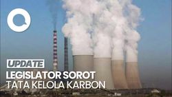 Video: Legislator Sebut RI Bisa Rugi Triliunan Jika Salah Tata Kelola Karbon