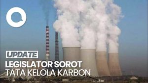 Video: Legislator Sebut RI Bisa Rugi Triliunan Jika Salah Tata Kelola Karbon