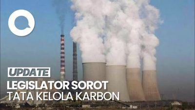 Video: Legislator Sebut RI Bisa Rugi Triliunan Jika Salah Tata Kelola Karbon