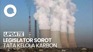 Video: Legislator Sebut RI Bisa Rugi Triliunan Jika Salah Tata Kelola Karbon
