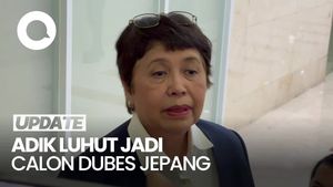 Video Adik Luhut Jadi Calon Dubes Jepang, Janji Perkuat Hubungan Bilateral