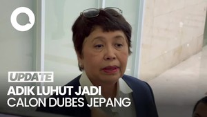 Video Adik Luhut Jadi Calon Dubes Jepang, Janji Perkuat Hubungan Bilateral
