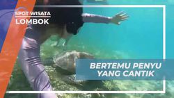 Bertemu dan Berenang Bersama Penyu Cantik di Gili Trawangan Lombok  