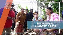 Mengenal Ummut Aren dan Proses Pengambilannya di Kampung Adat Miduana, Cianjur  
