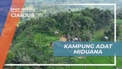 Menyelami Keindahan Kampung Adat Miduana di Cianjur, Menjelajahi Tradisi dan Alam  
