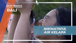 Bersantai Menikmati Segarnya Kelapa di Pantai Karang Sanur, Bali  