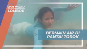 Menyelam dan Menikmati Keindahan Bawah Laut Pantai Torok Lombok  