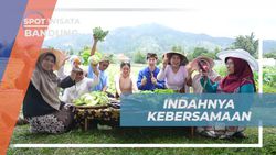 Menikmati Momen Kebersamaan Saat Memanen dan Mengonsumsi Sayuran di Bandung  
