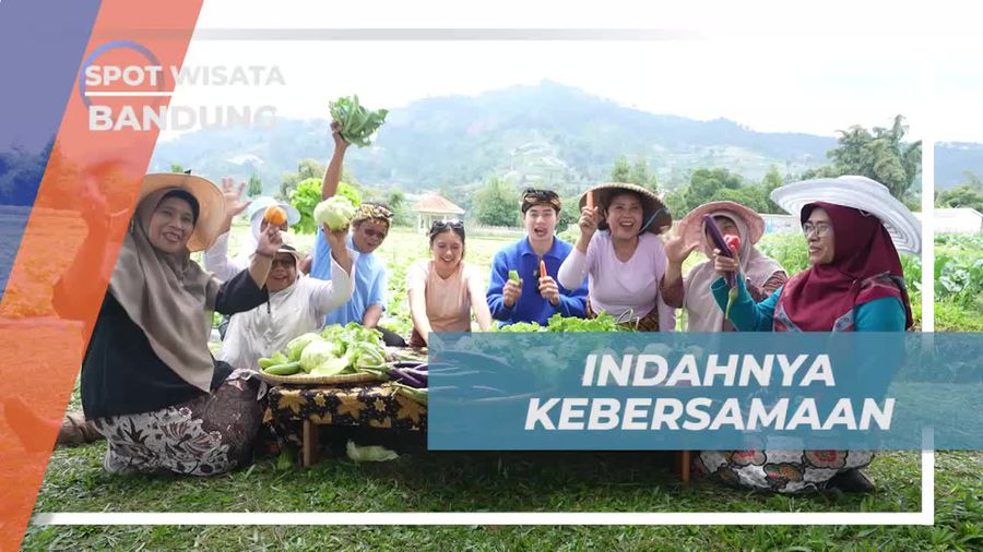 Menikmati Momen Kebersamaan Saat Memanen dan Mengonsumsi Sayuran di Bandung  